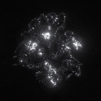 Loop Motion Graphics GIF by xponentialdesign