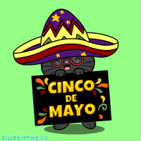 May Cinco De Mayo GIF by Silly Kitties