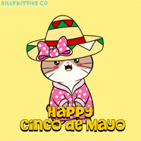 Cinco De Mayo Celebration GIF by Silly Kitties