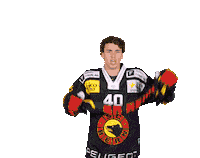 Weber Sticker by SC Bern