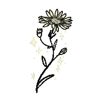 Flower Sticker by Alphavet