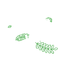 Verde Fevereiro Sticker by Papelito Brasil