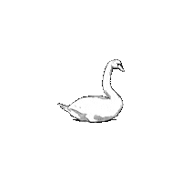 vianscaletta sleep duck zzz nite Sticker