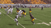 College Football GIF by WVU Sports
