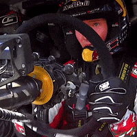 Sport Driving GIF by FIA World Rally Championship