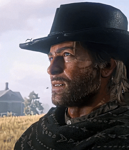 Red Dead Redemption Arthur GIF