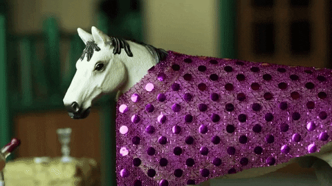 skintdressagedaddy giphygifmaker horse drinking alcoholic GIF