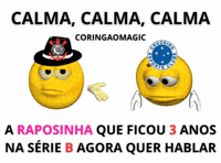 Copa Do Brasil Corinthians GIF