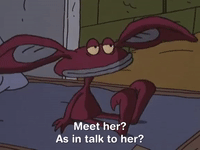 nickrewind nicksplat aaahh real monsters GIF