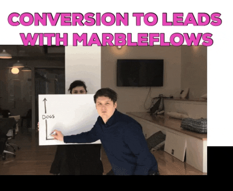 CreateFlows giphygifmaker leads onboarding marbleflows GIF