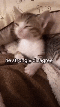 Kitty Disagree GIF