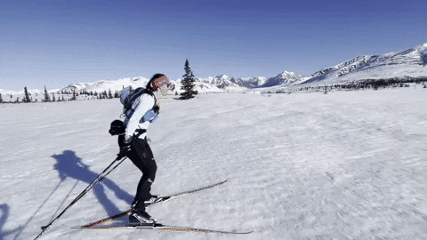 livetravelteach giphyupload nature winter adventure GIF