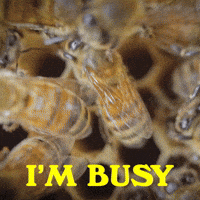Stressed Busy Bee GIF by Sealed With A GIF