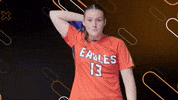 Iceland Flagwave GIF by Carson-Newman Athletics