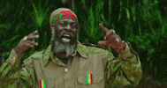 Capleton GIF by DJ Khaled