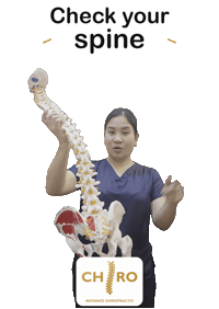 Spine Sticker by Advance Chiropractic