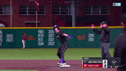 College Baseball Celebration GIF by Northwestern Athletics