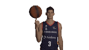 Liga Endesa Basketball Sticker by ACB