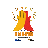 obessu vote democracy european union european elections Sticker