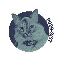 Cat Persist Sticker by Elizabeth Warren