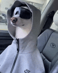 Maduro GIF