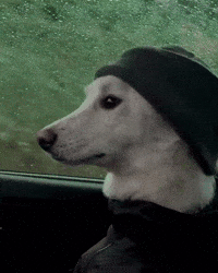 Eminem GIF
