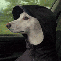 Eminem GIF