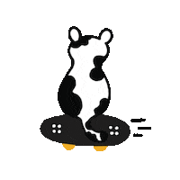 monobstudio cat sport mood play Sticker