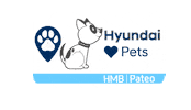 Manda Bem Sticker by Pateo Hyundai