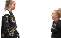 F-liiga floorball salibandy innebandy fliiga Sticker