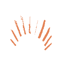 Sparkle Effects Sticker by thefemaleexplorer