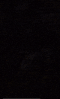 Princess Knight GIF