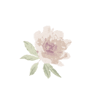 Wedding Flowers Sticker by Birdy Grey