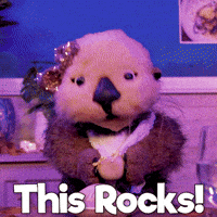 Love It Yes GIF by Aquarium of the Pacific