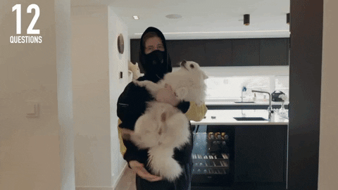 GIF by Alan Walker