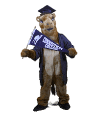 Conncoll Sticker by Connecticut College