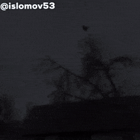 islomov17 islomov islomov53 GIF