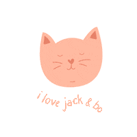 Jacknbo cat kitty jacknbo jackandbo Sticker