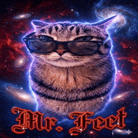 Cat Meme Mister GIF