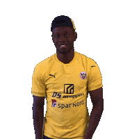 Deedson Sticker by Hobro IK