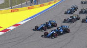 DecorusEsports dcrs decorus GIF
