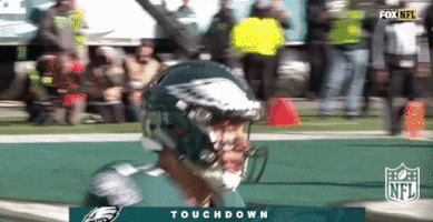 philadelphia eagles football GIF by NFL