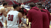 LafayetteLeopards lafayette mbb leopards mens basketball GIF