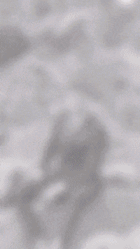 Jeordies fashion sexy shoes men GIF