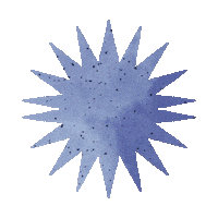 Blue Star Sticker