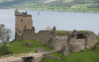 loch ness monster wtf GIF by Cheezburger