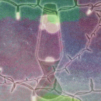 Chill Out Vibes GIF by brittany bartley