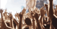 concert lights GIF by Mayday Parade