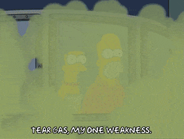 scared homer simpson GIF