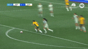 Hayley Raso Goal GIF by Football Australia